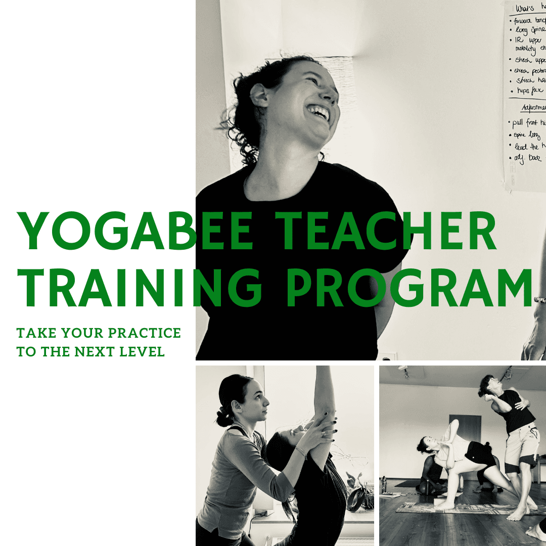 YogaBee 200 hour Teacher Training – nur noch 4 Plätze frei