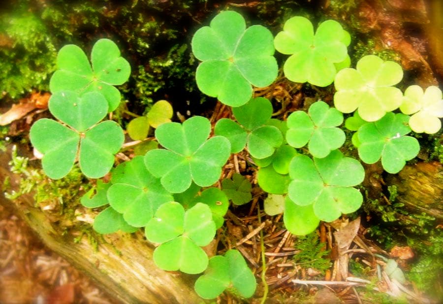 New Beginnings: Reframing and Letting Go