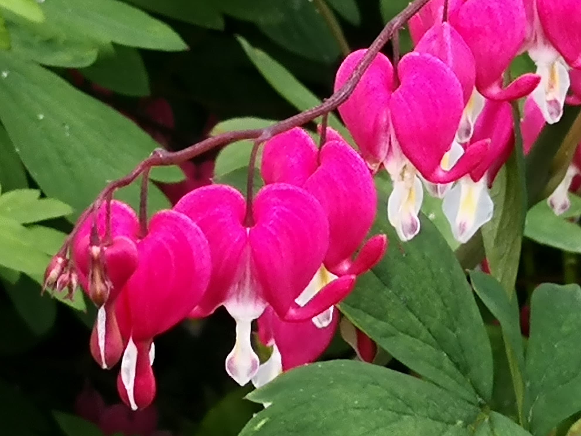 Ein gutes neues Jahr!